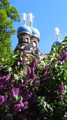 2019-05-01_y_1.2k.jpg